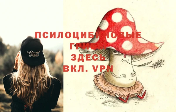 хмурый Балабаново