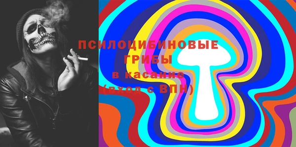 PSILOCYBIN Балахна