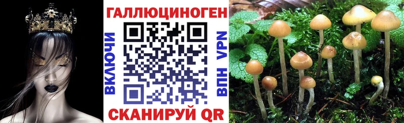 это телеграм  Фурманов  Галлюциногенные грибы Magic Shrooms 